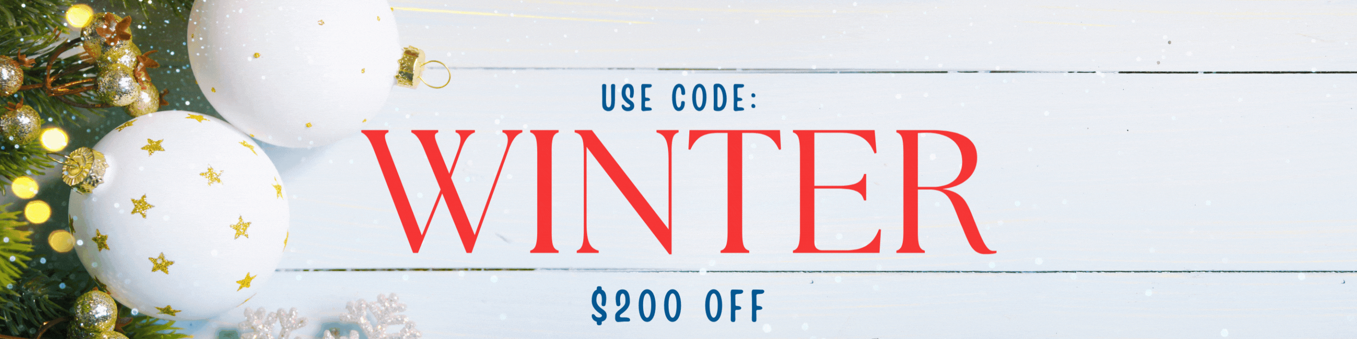 Winter Promotion